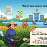 Xu hướng giá hồ tiêu Việt Nam: Cơ hội và thách thức